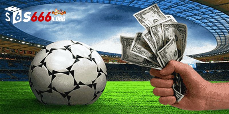 Những giải đấu và sự kiện bóng đá bạn không nên bỏ qua