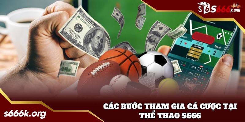 Các bước tham gia cá cược tại thể thao S666