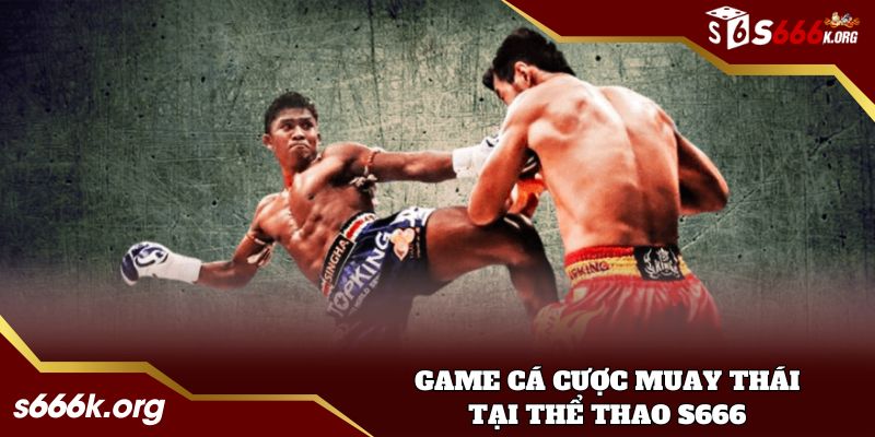 Cá cược Muay Thái tại cổng game đổi thưởng S666