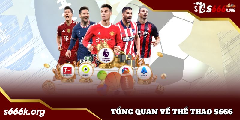 Tổng quan về thể thao tại nhà cái S666